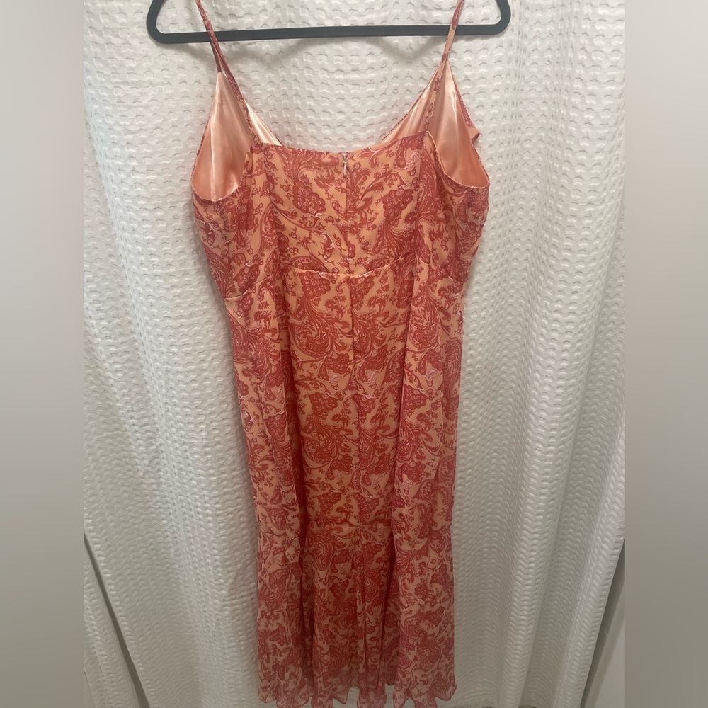 Express Dress - Picture 3 of 4